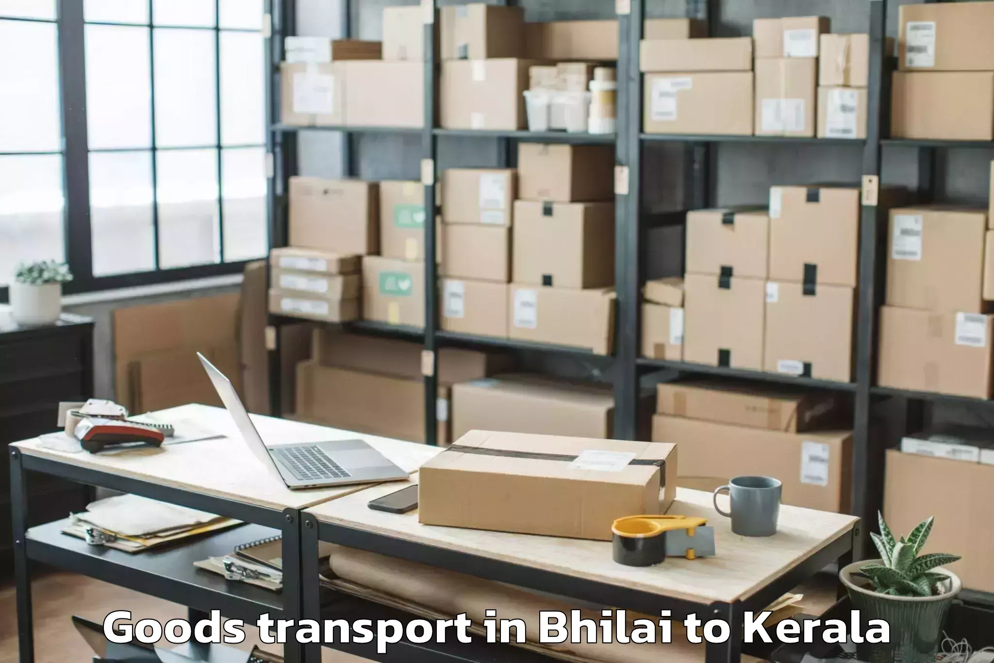 Quality Bhilai to Mall Of Joy Thrissur Goods Transport